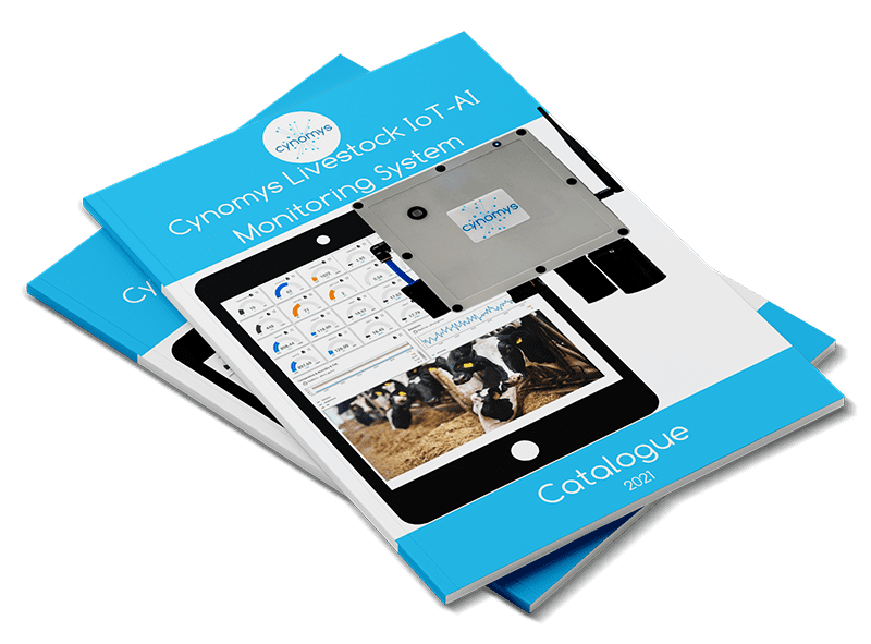product catalogue