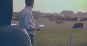 internet of things livestock
