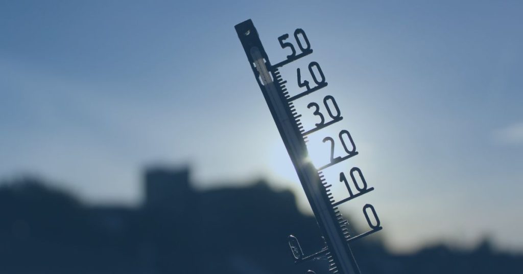 Temperature and Humidity livestock