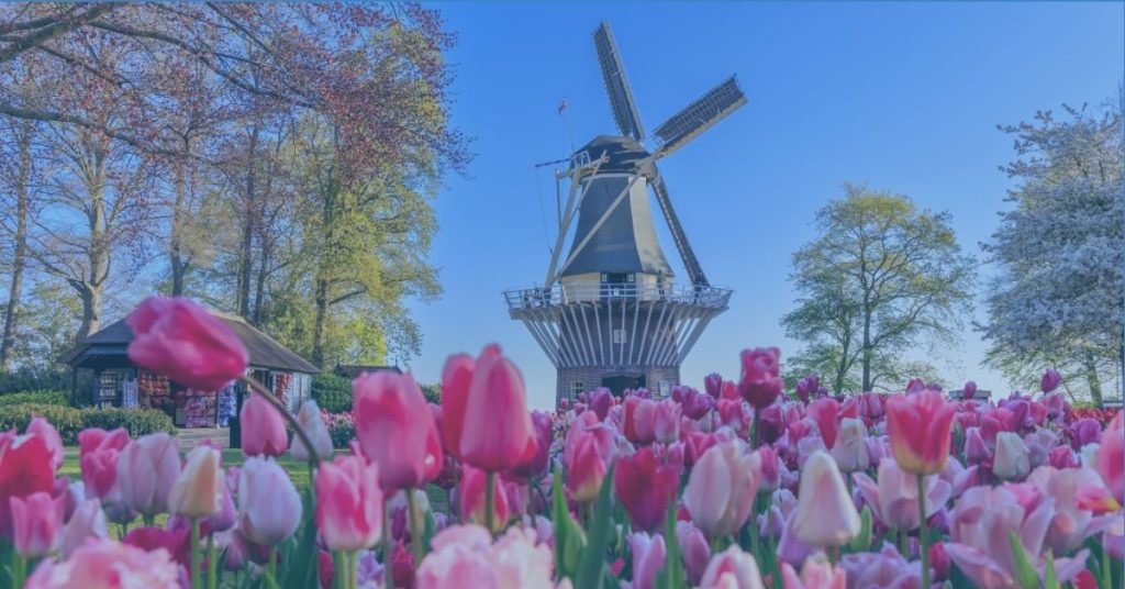 The Netherlands at the Forefront of Livestock Innovation