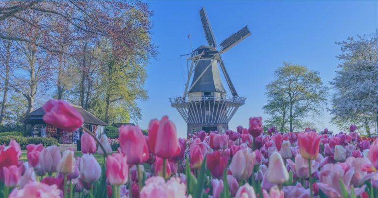 The Netherlands at the Forefront of Livestock Innovation