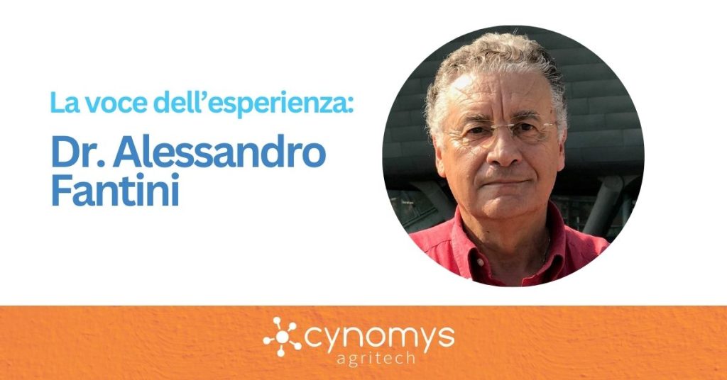 alessandro fantini