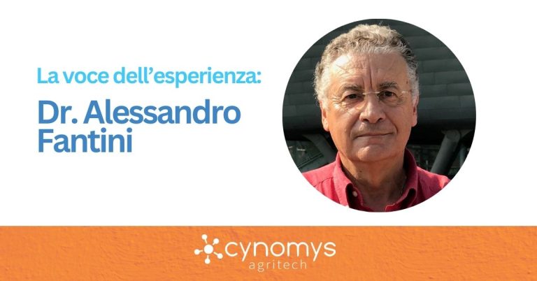 alessandro fantini
