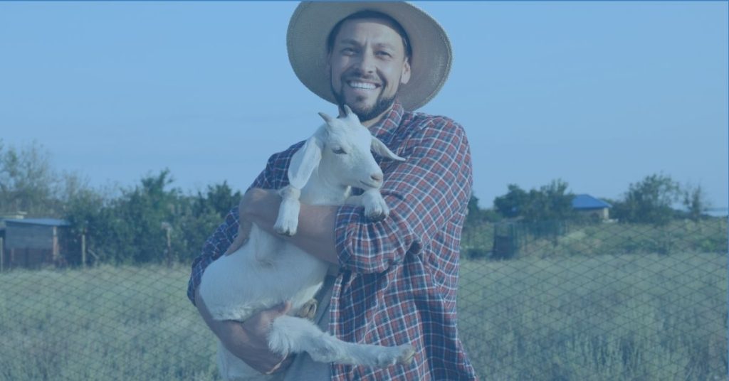 precision livestock farming.