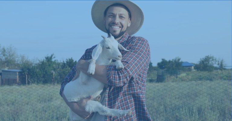 precision livestock farming.