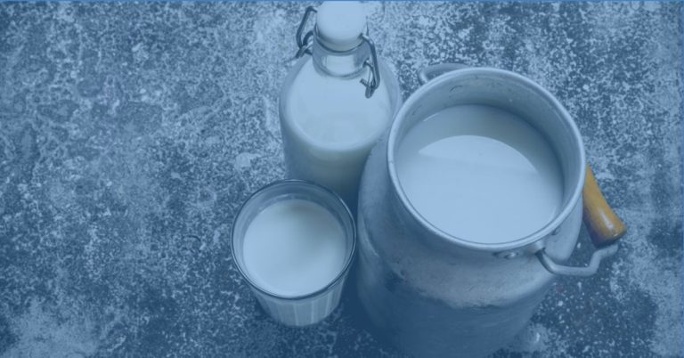 Air Quality and Animal Welfare in DOP Dairy Cows