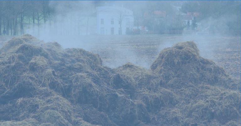 Nitrates Directive: Why Europe Limits Livestock Manure and What Changes with RENURE