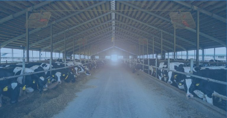livestock Emissions